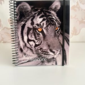 Carpeta Tigre y nombre