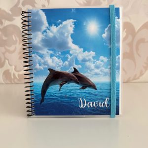 Carpeta Delfin