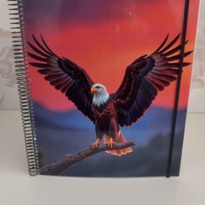 Carpeta Revistas Águila